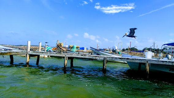 Rio Lagartos