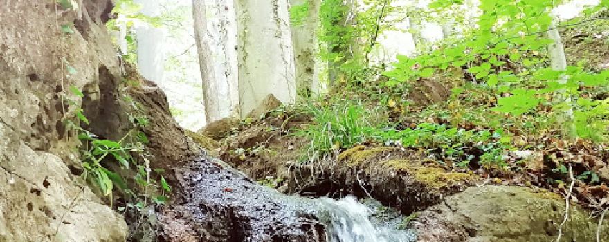 Wasserfälle von Grunbach