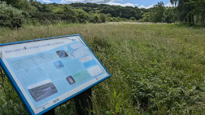 Cullaloe Local Nature Reserve