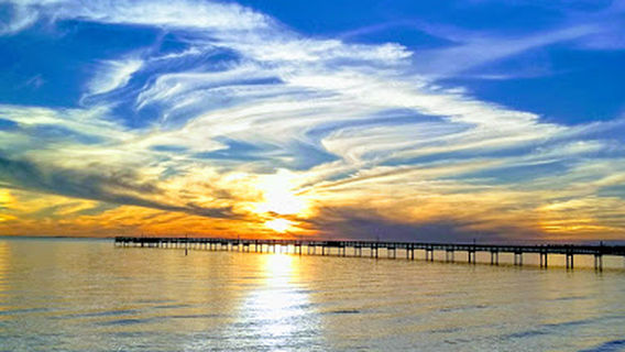 Bayshore Live Oak Park Fishing Pier