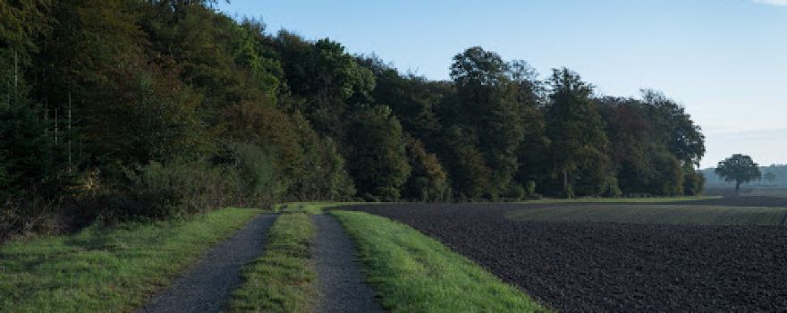 Schüttbrehm