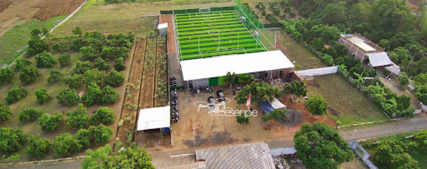 ELSSO SPORT MINI SOCCER