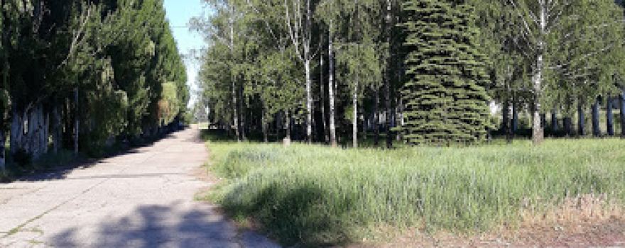 Park Vidpochynku