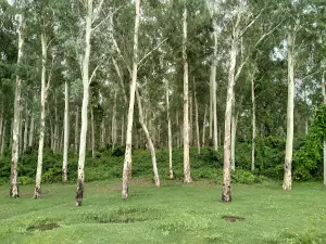 Thawe Mandir