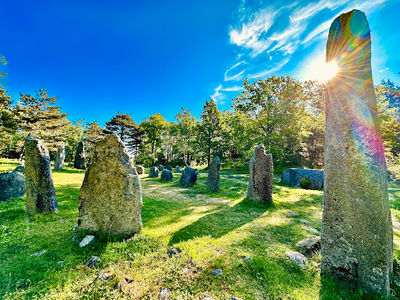 Istrehågan, Iron age Cemetery