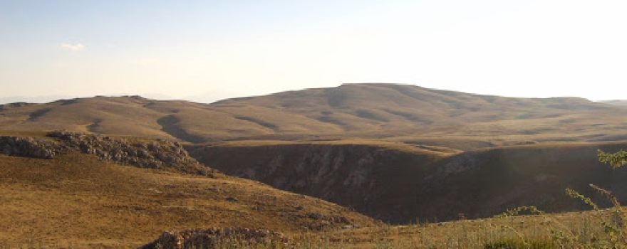 KURTLU KUYU
