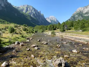 Vuthaj
