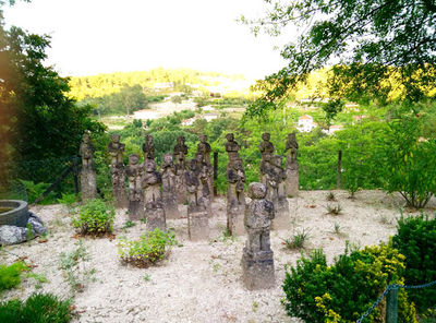 Amarante camping