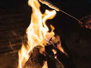 Camping San Antonio