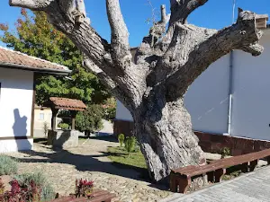 House Museum Chudomir