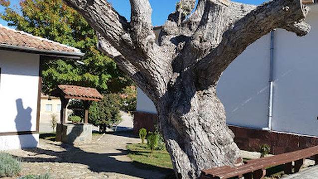 House Museum Chudomir