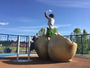 Discovery Playground