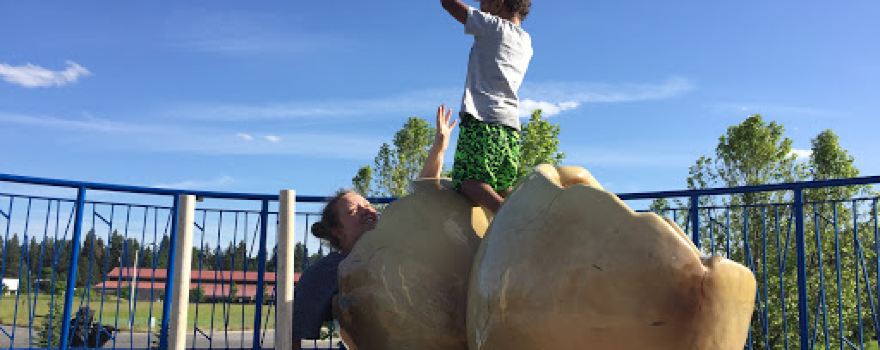 Discovery Playground