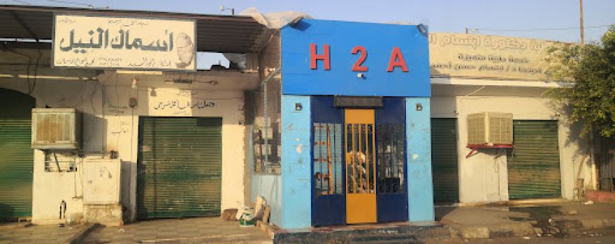 H2A