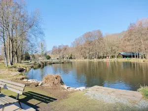 Parc des Aulnes