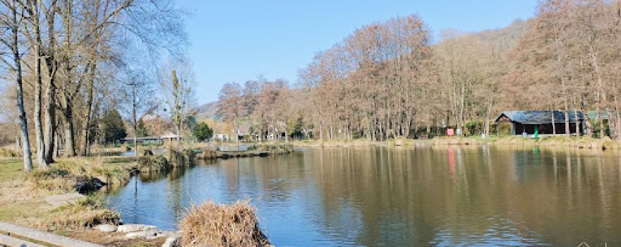 Parc des Aulnes
