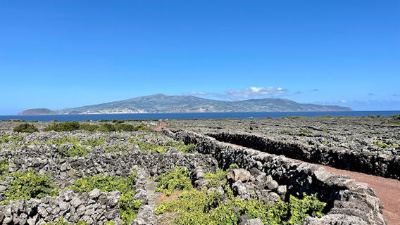 Lajido da Criação Velha