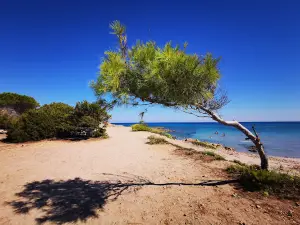 Spiaggia di Sa Curcurica