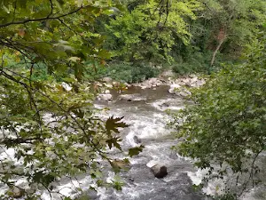 Rafting on Struma river Reflip