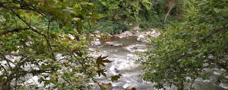 Rafting on Struma river Reflip