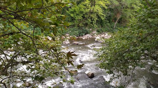Rafting on Struma river Reflip