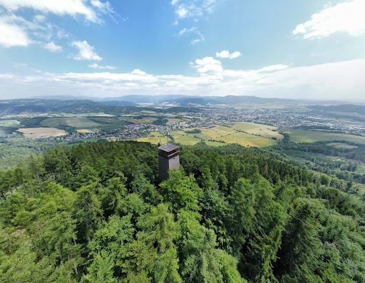 lookout Tower Grove