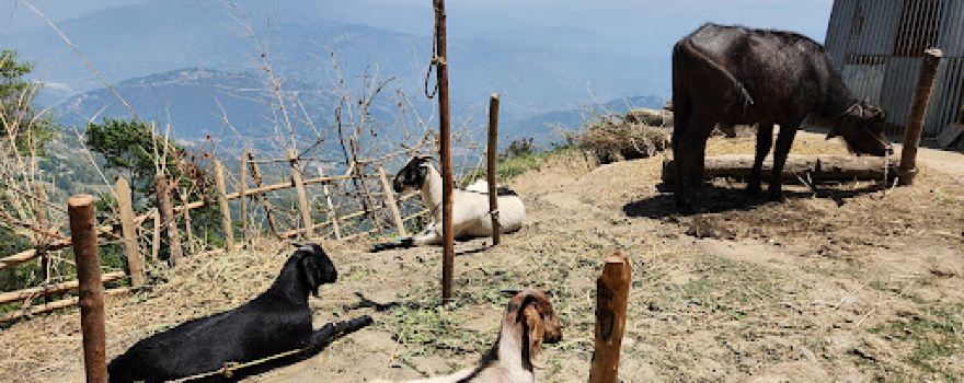 Nagarkot Panoramic Hiking Trail
