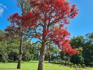 Queensland State Rose Garden
