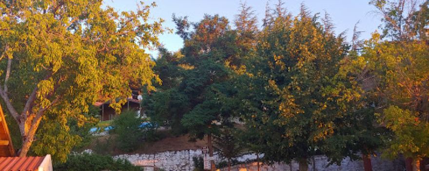 Murat Mountain Picnic Area