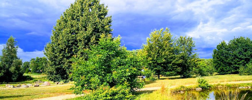 Findlingsgarten am Seddiner See