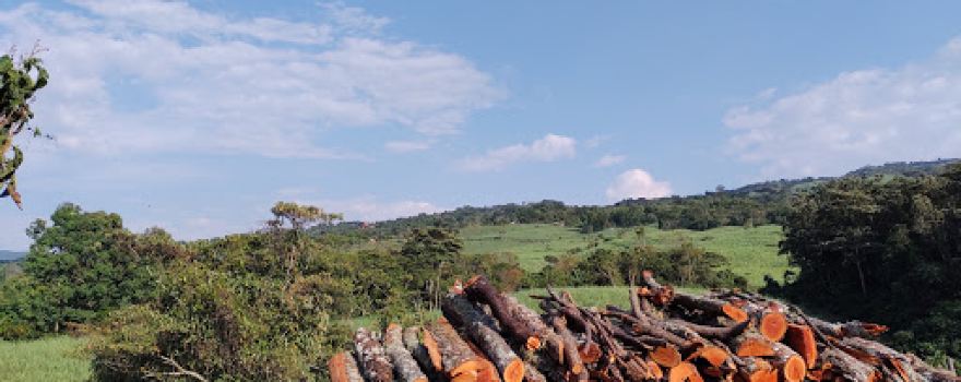 finca la lajita
