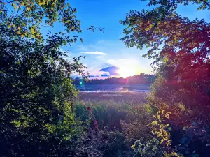 Frankfort Lagoons