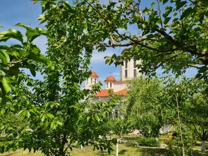 Holy Monastery of Epictetus and Astion