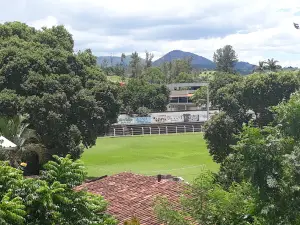 Estádio Olívio Pinto Vieira
