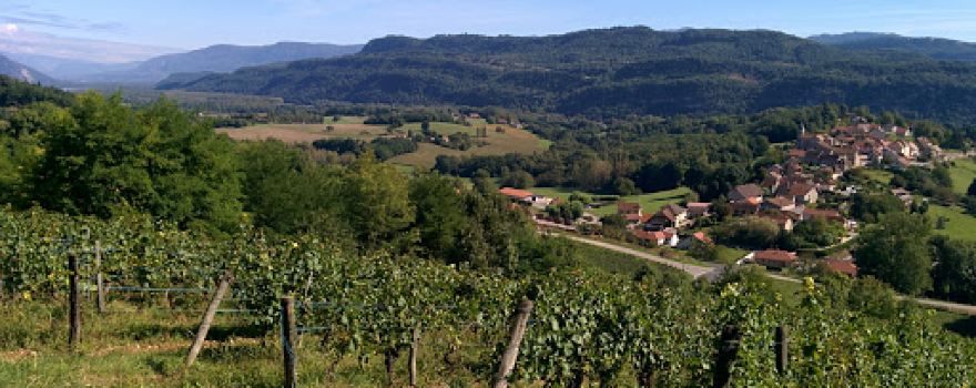 Caveau Quinard