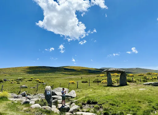 納瓦雷東達·德格雷德