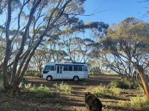 Baroota Camping Park