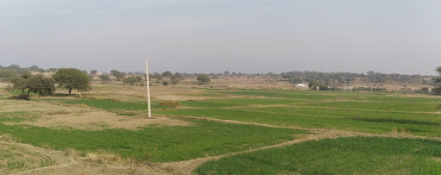 Khanga Shareef