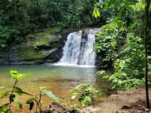 Sixaola River