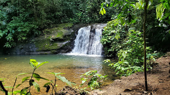 Sixaola River