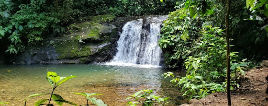 Sixaola River