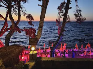 Çam Kamping