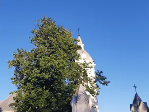Palėvenė Dominican Monastery