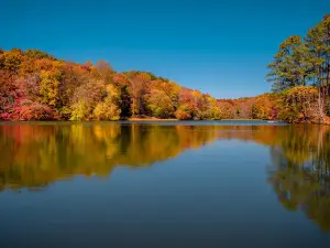 Grundy Lakes at South Cumberland State Park