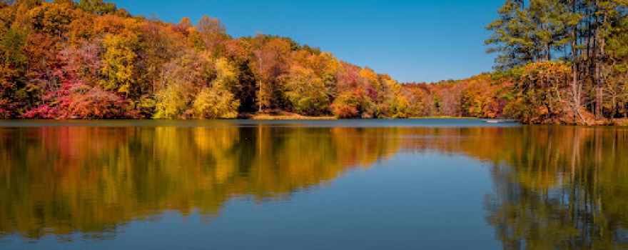 Grundy Lakes at South Cumberland State Park