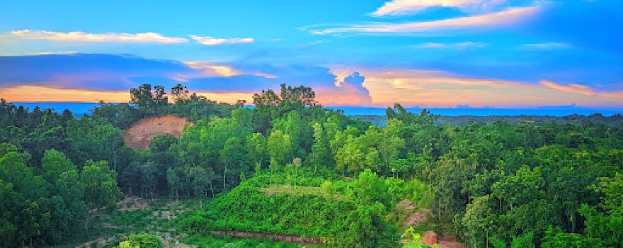আলভীনা গার্ডেন/ALVEENA GARDEN