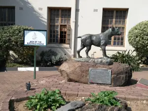 Jock Of Bushveld Statue