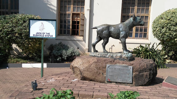 Jock Of Bushveld Statue