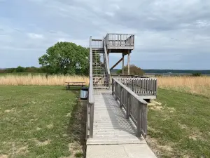 Southwood Conservation Area