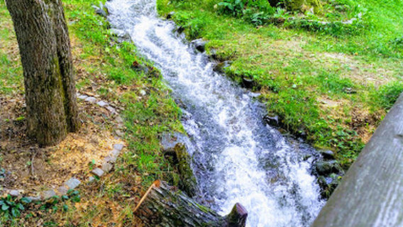 Draguljica - privatni bazen